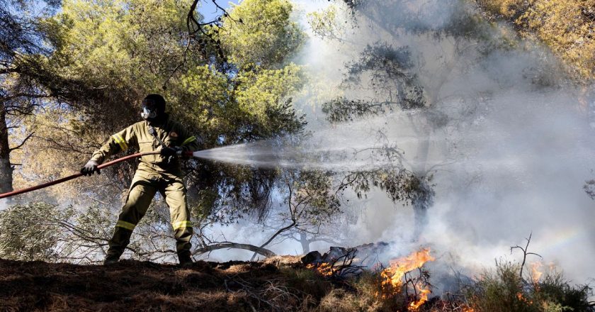 Girit'te orman yangınları: 8 köy boşaltılırken, yangına 300 itfaiyeci müdahale etti