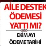 AİLE DESTEK ÖDEMESİ EKİM 2024 NE ZAMAN ÖDENECEK | Aile desteği için sosyal yardım ne kadar? Kaç TL? Aile Destek Programı e-devlet başvuru ekranı ve başvuru koşulları!