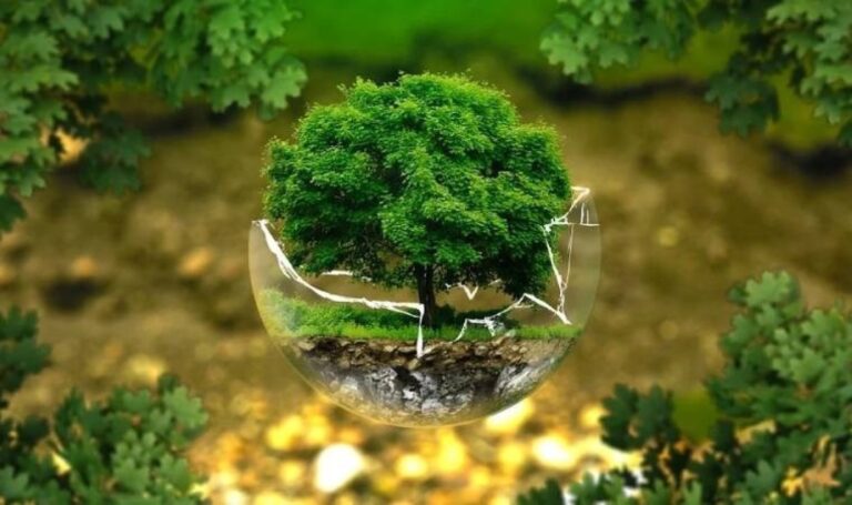 İklim Sözlüğü: Biyoçeşitlilik – Son Dakika Sürdürülebilirlik Haberleri