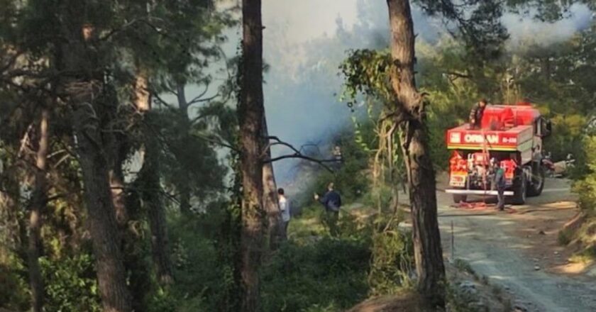 Kapalı Boschiva Fire’da Hatay – Son Dakika Türkiye Haber Alanı