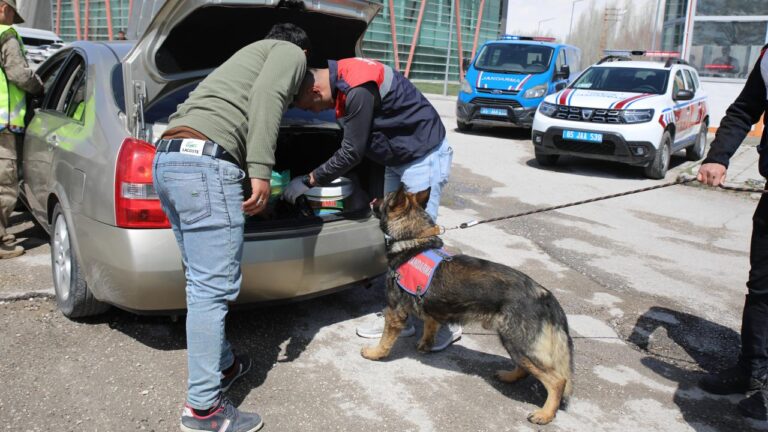 124 araç minibüsteki trafik tarafından yasaklandı