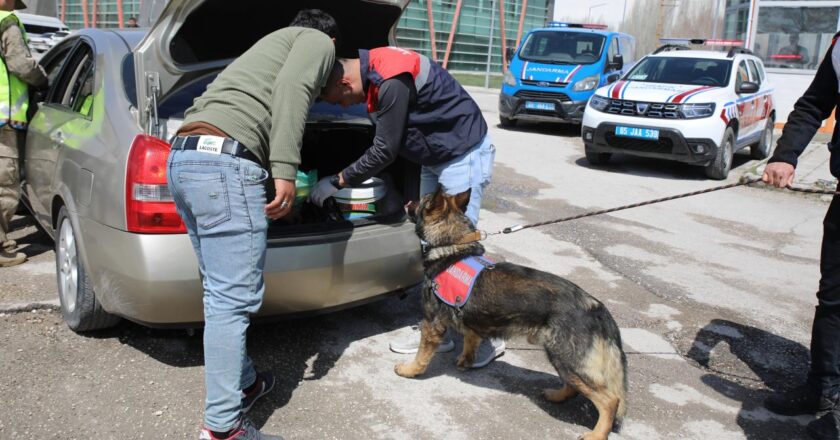 124 araç minibüsteki trafik tarafından yasaklandı