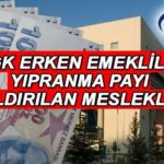 Erken Emeklilik Hazırlığı SSI 2025 Profesyonelden Kaldırılacak || Tefecilik payından kaldırılan meslekler nelerdir? Sosyal güvenlik aşınmasının payı nedir, koşullar nelerdir? SSI'dan yeni eğilim!