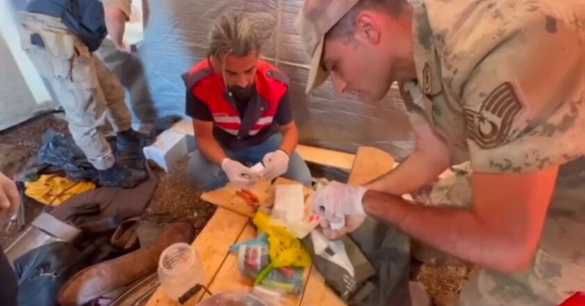 Siverek'de Uyuşturucu Operasyonu: 42 Gözaltı – Torrkiye lagdimte News