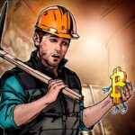 Solo CK pool madencilere milyonlarca dolar kazandırdı
