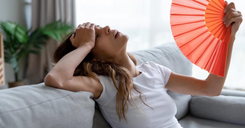 Avrupalılar, aşırı sıcaklardan kavrulmalarına rağmen neden inatla klima taktırmıyor?