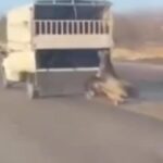 Kamyonetin arkasına bağladığı atı dakikalarca sürükledi; o anlar kamerada