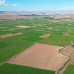 40 Milyon TL’lik Arsada Kriz: Boşanma Eşiğine Gelenler Var