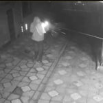 Kurşunlama: Dürümcüye Saldıran İntikam Peşinde